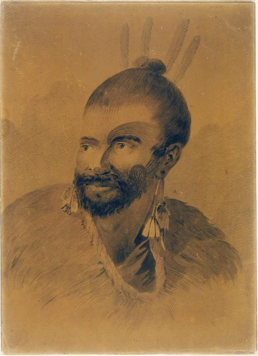 Webber John Portrait of a New Zealander